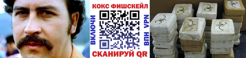 COCAIN Fish Scale  Купить где  Бахчисарай 