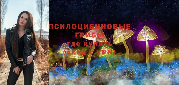 ешки Коряжма