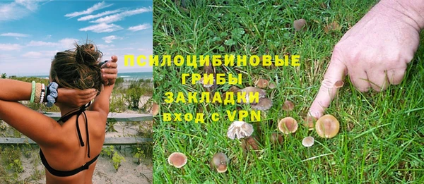 ешки Коряжма